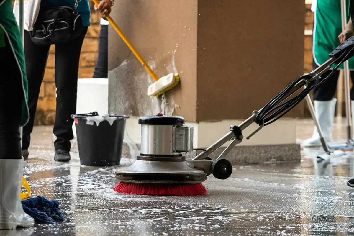 Bp Clean Entreprise De Nuisible Nice Realisation 11