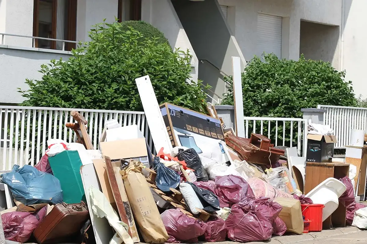 Bp Clean Entreprise De Nuisible Nice Realisation 2